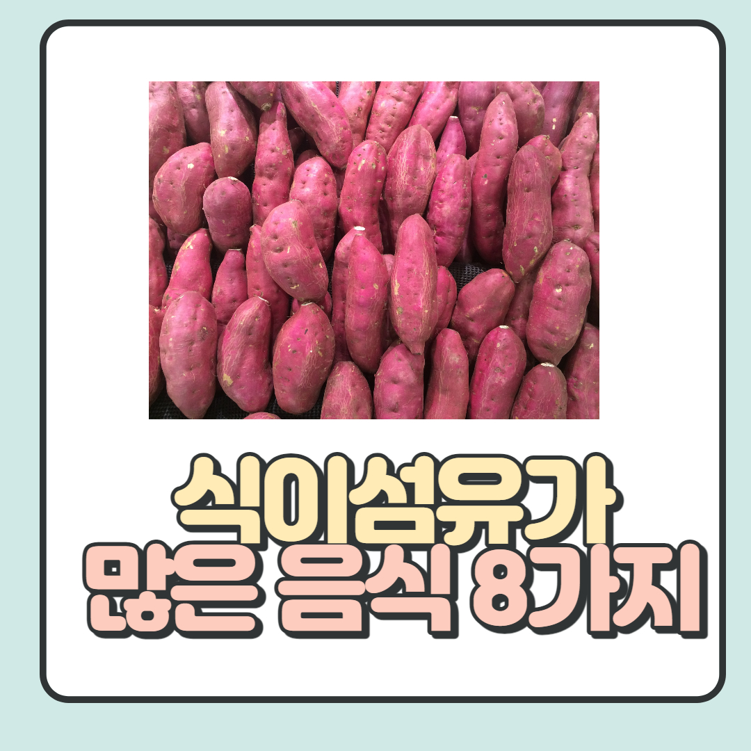  식이섬유가 많은 음식 8가지와 식이섬유 함유량 알아보기!