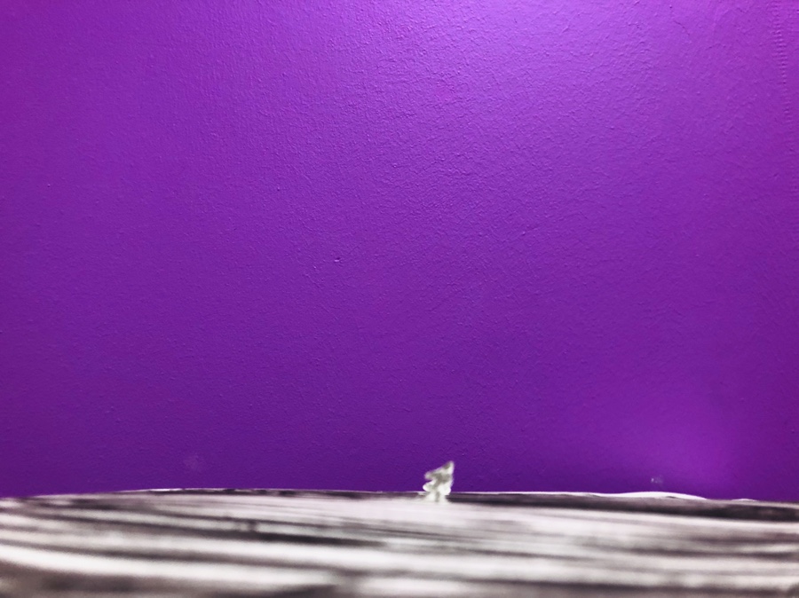 물그림 그리기 초등미술수업 13