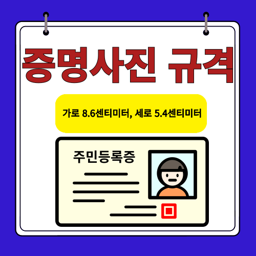 증명사진 규격