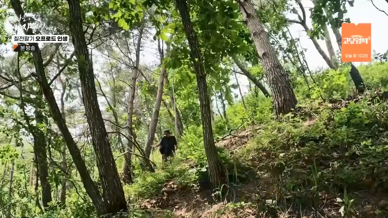 나는 자연인이다.E557.230608p-NEXT.mp4_20230608_194911.080.jpg