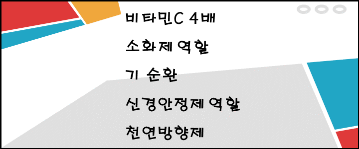  귤 효능과 귤껍질 진피의 효능