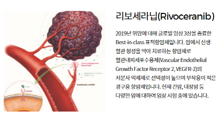  <에이치엘비>가 대체 왜 이렇게 핫해졌다가 지금은 왜 안 핫한걸까? 모조리 알려주마.