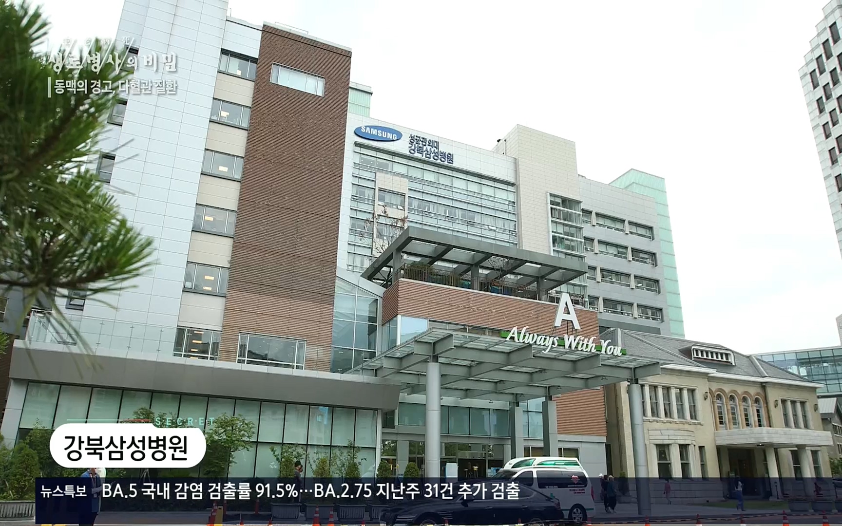생로병사의 비밀.E831.220817p.H264-F1RST.mp4_20220822_185319.718.jpg