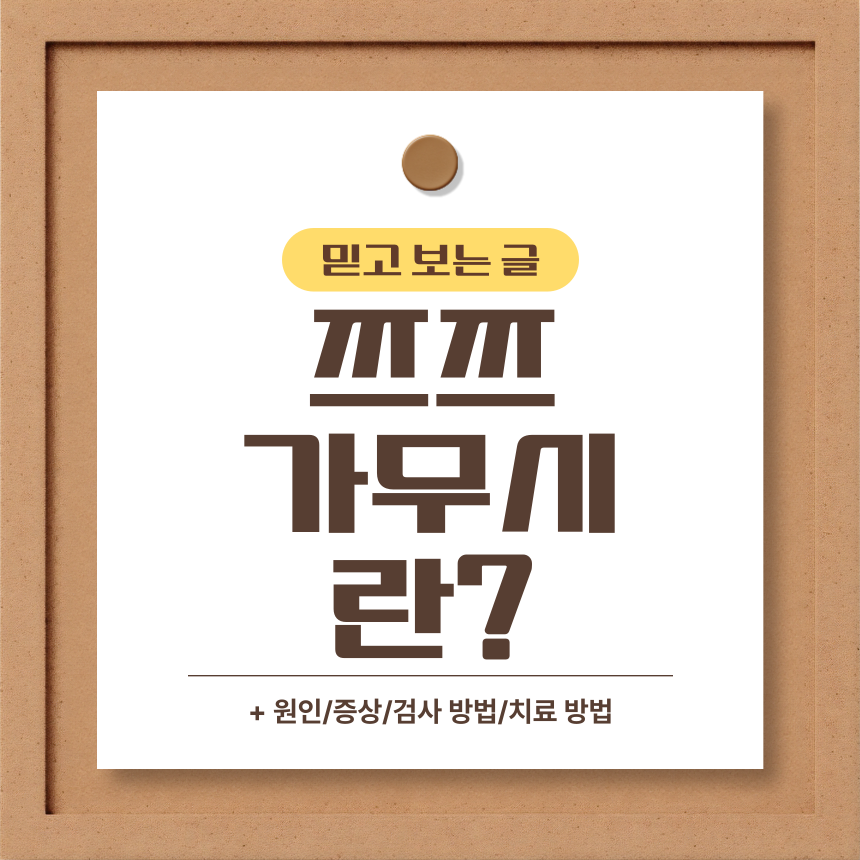  쯔쯔가무시 란?