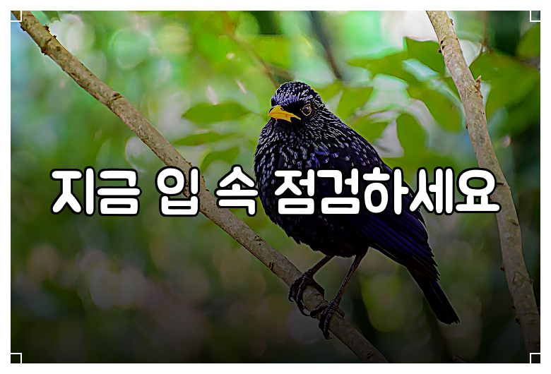 지금 입 속 점검하세요
