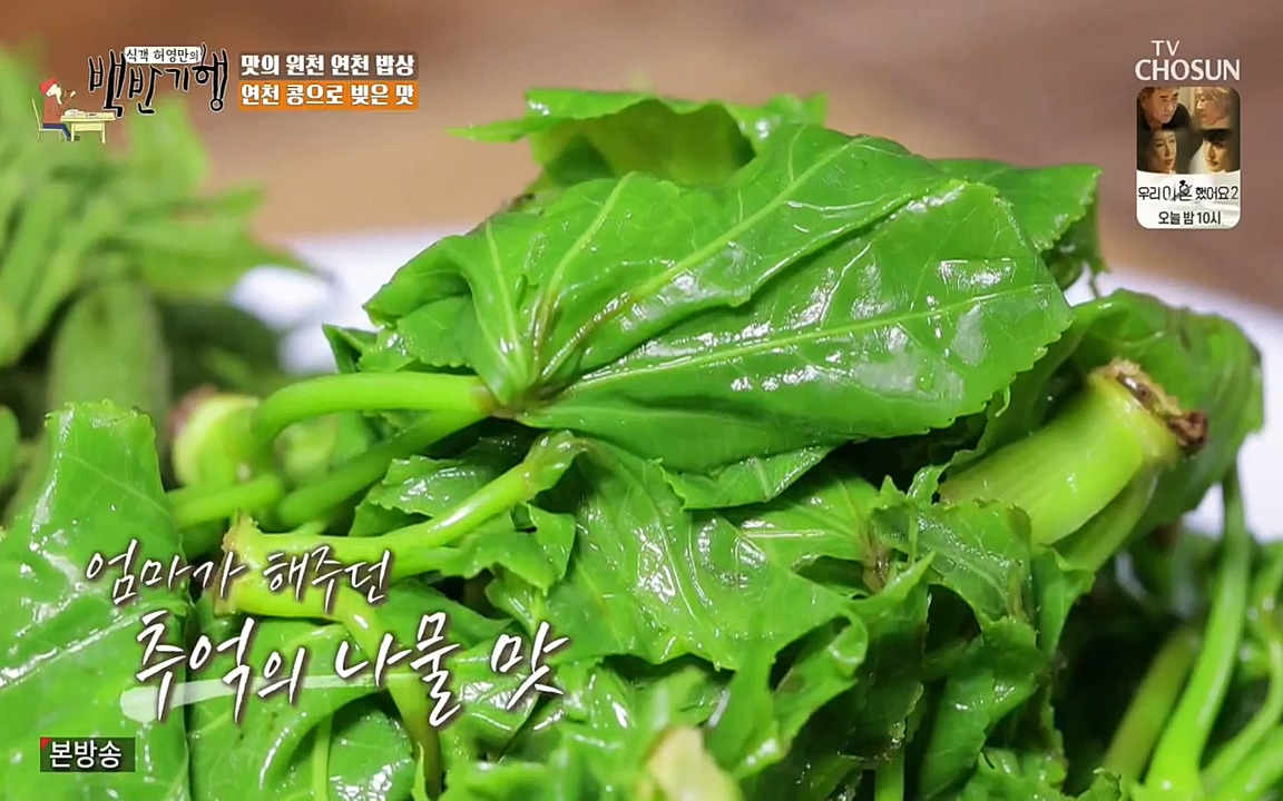 식객 허영만의 백반기행.E154.220528p-NEXT.mp4_20220528_175722.370.jpg
