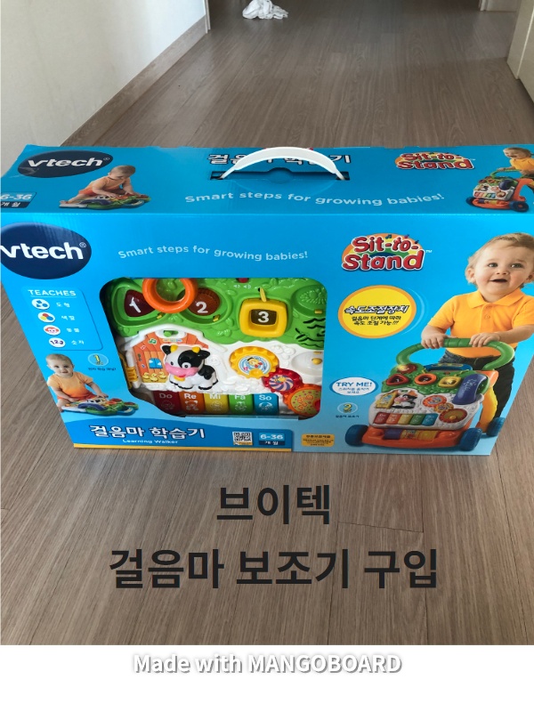  브이텍 걸음마보조기 구입.