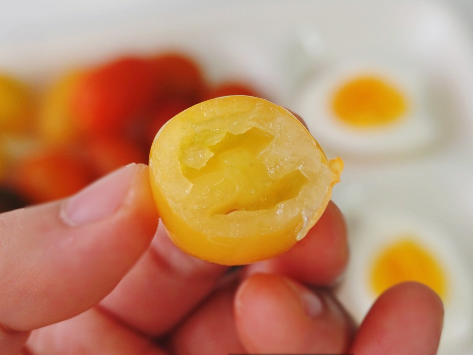 토마토들 산지직송 컬러 3