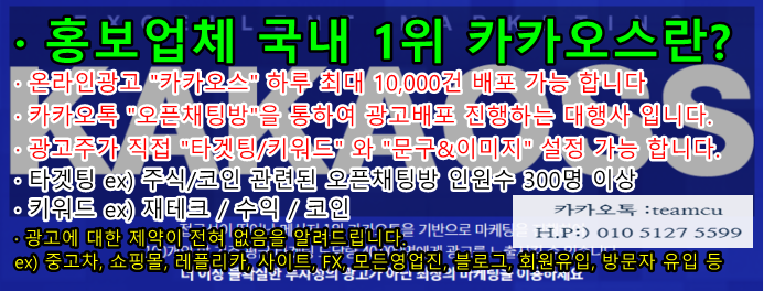  국내1위 온라인광고 대행사 "카카오스"