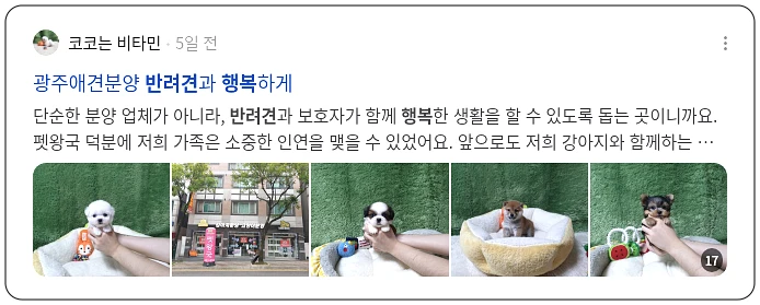 반려견 행복_2_subsection