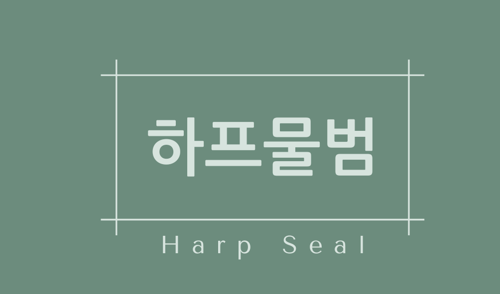 하프물범(Harp Seal)