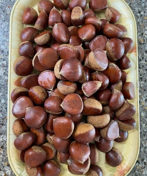  밤 효능 및 부작용(이런 분들께는 주의)