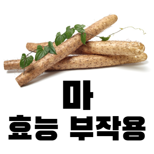 마-효능-부작용-효과