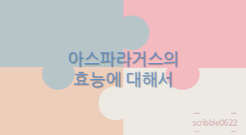  아스파라거스의 효능에 대해서