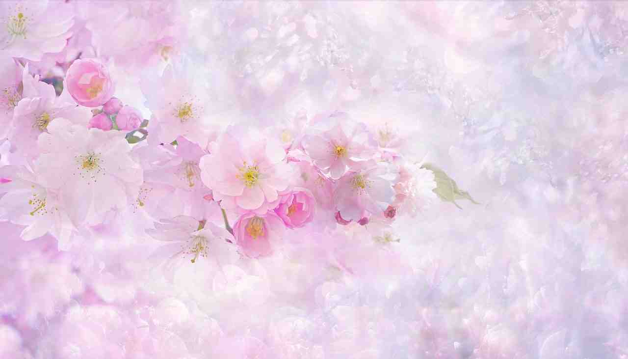  벚꽃엔딩을 예제로 한 반복이 주는효과 두번째 창조적인 반복