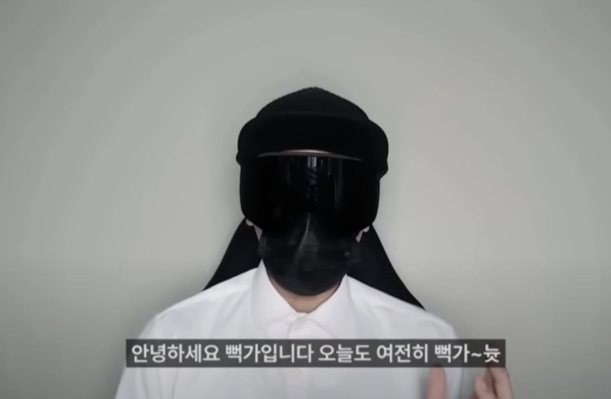 뻑가 신상 입살인 사이버 렉카 과즙세연