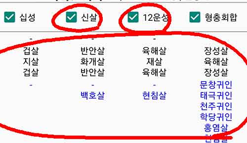 만세력 신살&#44; 12운성 확인하기
