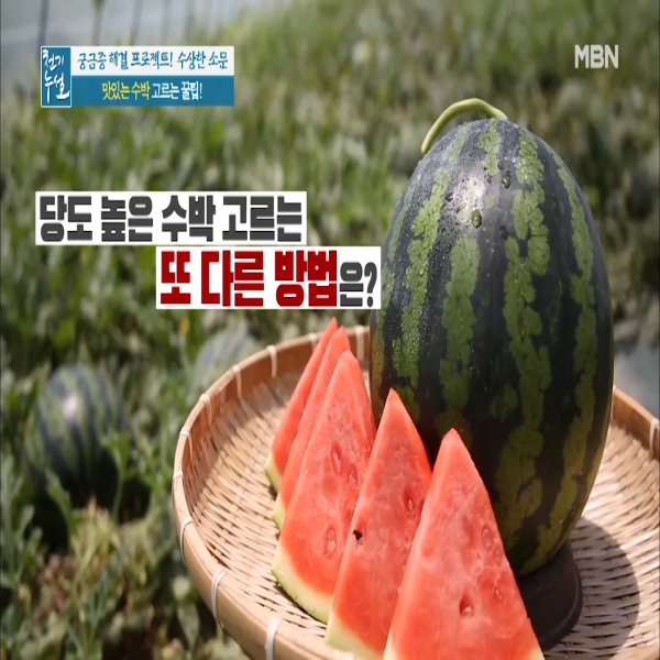  맛있는 수박 고르는 법 수박 보관하는 법