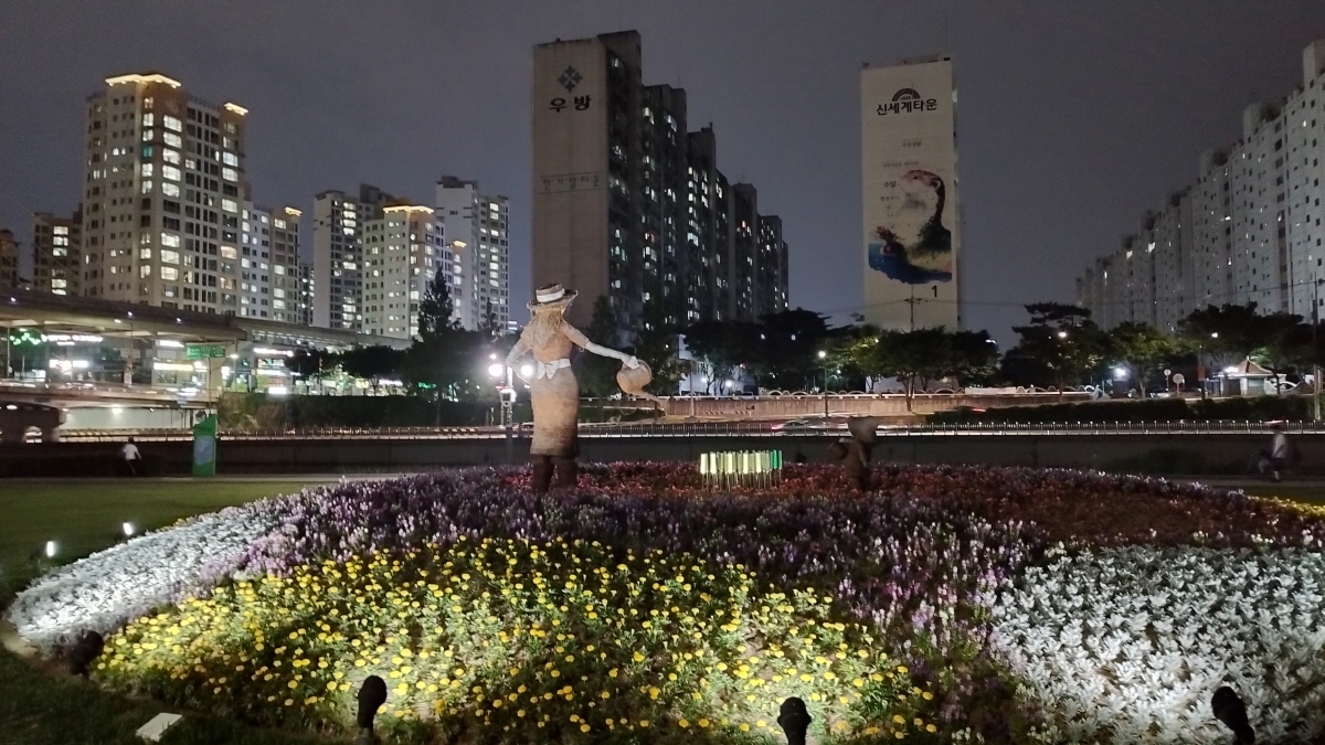 대구 신천 야경