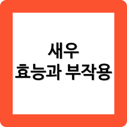 새우의효능