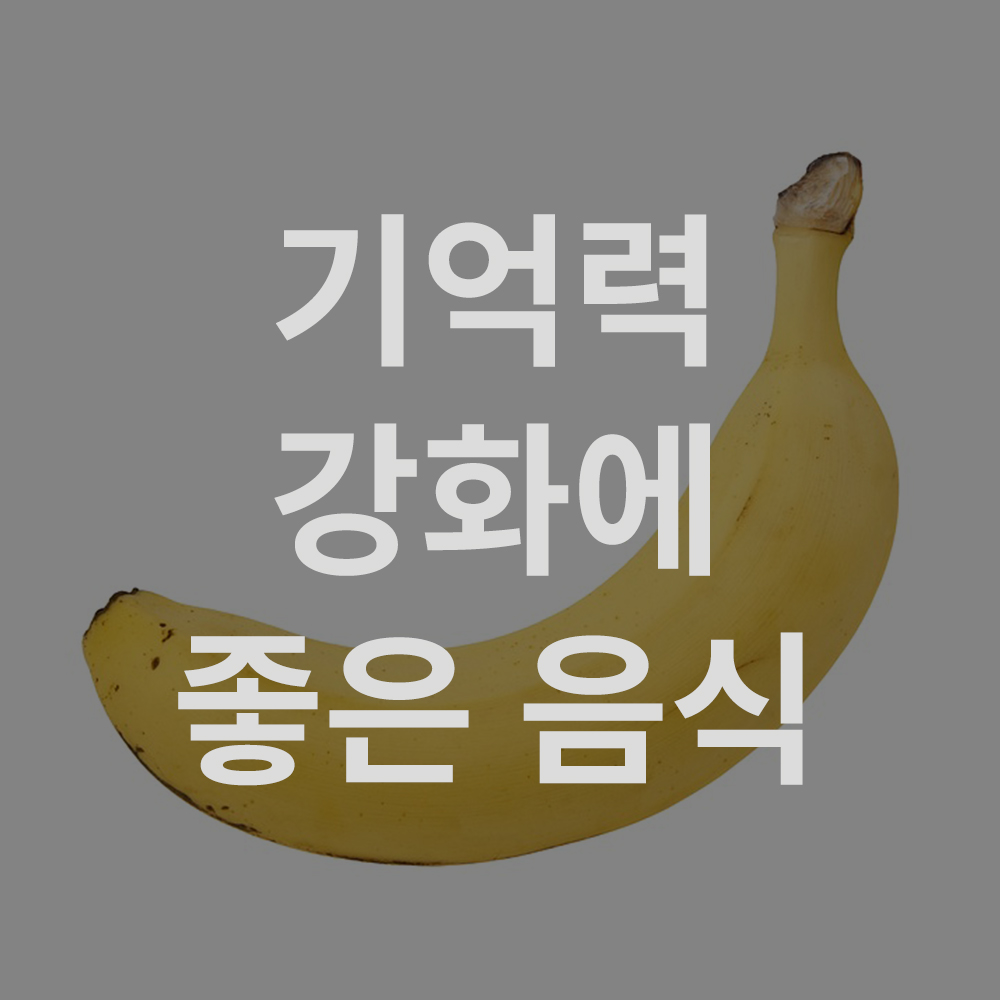 기억력을 향상시키는 음식