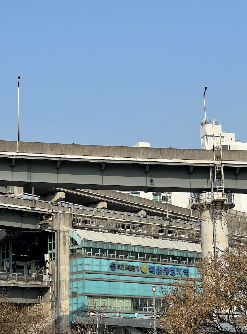 뚝섬한강공원 눈썰매장 현장 사진 뚝섬유원지