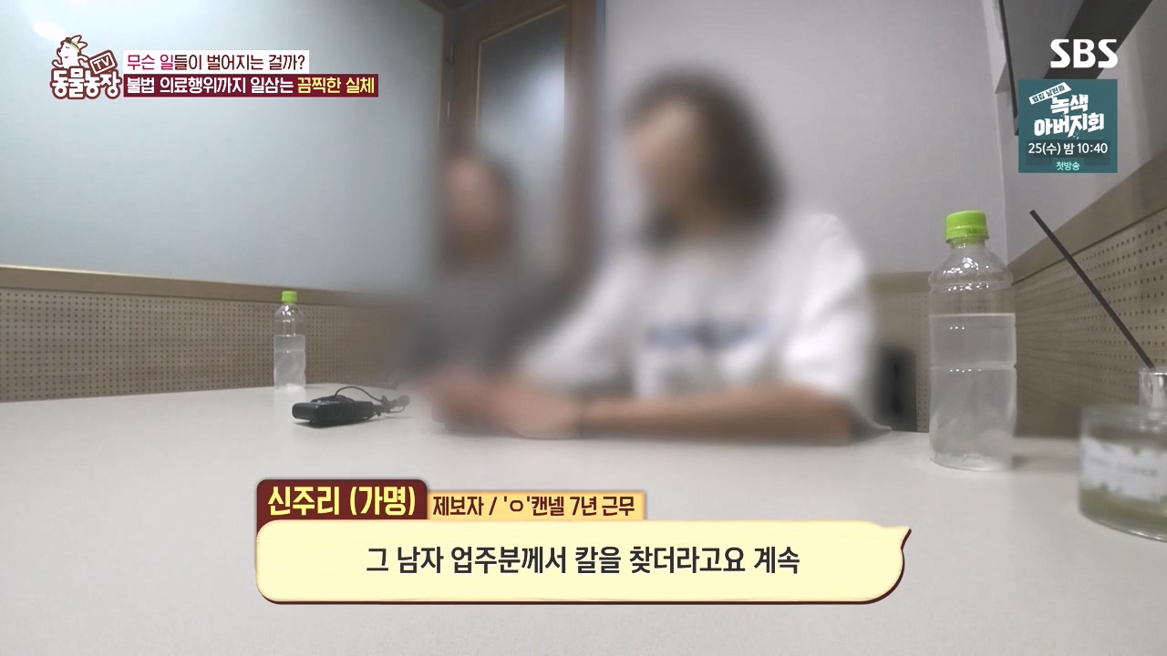 TV 동물농장.E1142.231023p-NEXT.mp4_20231022_172310.101.jpg