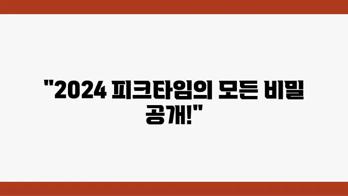 2024 피크타임 페스티벌에서의 공연!