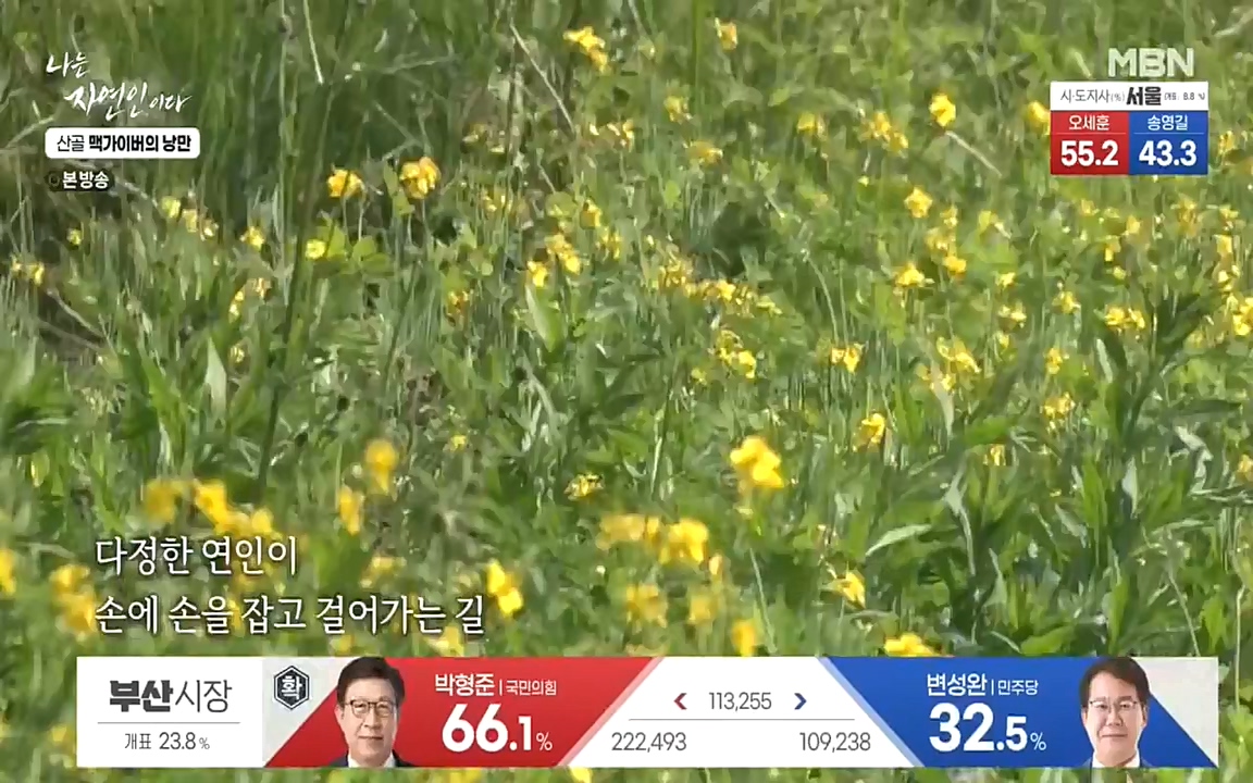 나는 자연인이다.E504.220602p-NEXT.mp4_20220602_201451.698.jpg