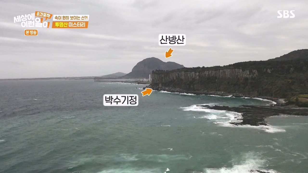 순간포착 세상에 이런일이.E1272.240407p-NEXT.mp4_20240407_175007.456.jpg