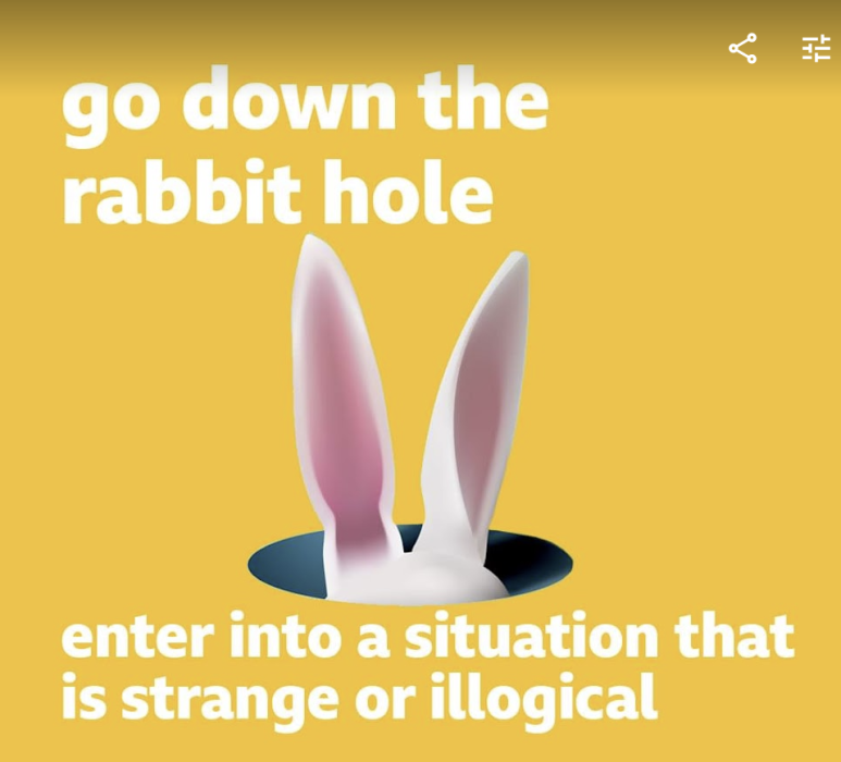  [영어] Go down the rabbit hole을 아시나요?