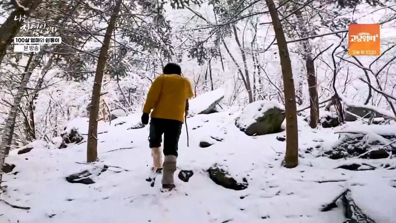 나는 자연인이다.E597.240314p-NEXT.mp4_20240314_195522.385.jpg