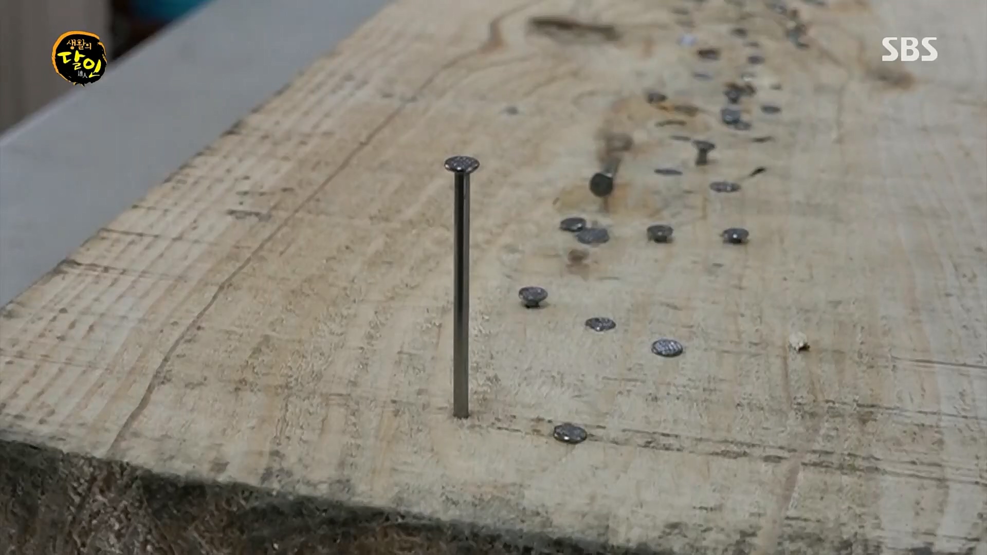 생활의 달인.E875.230206p.H264-F1RST.mp4_20230207_193131.741.jpg