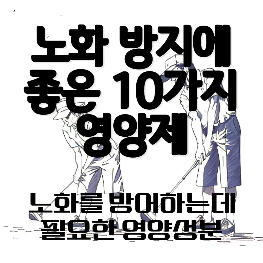 노화 방지에 좋은 10가지 영양제