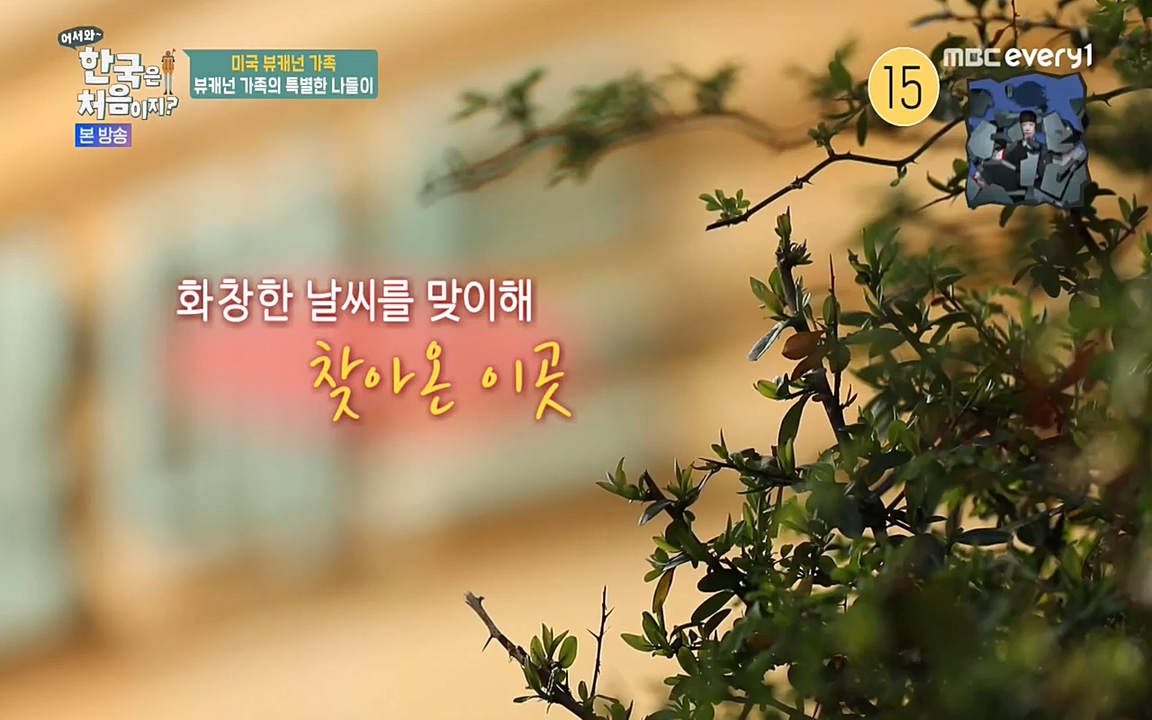 어서와 한국은 처음이지 시즌2.E208.220429p-NEXT.mp4_20220429_182649.540.jpg