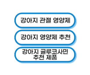 강아지 글루코사민 영양제 추천