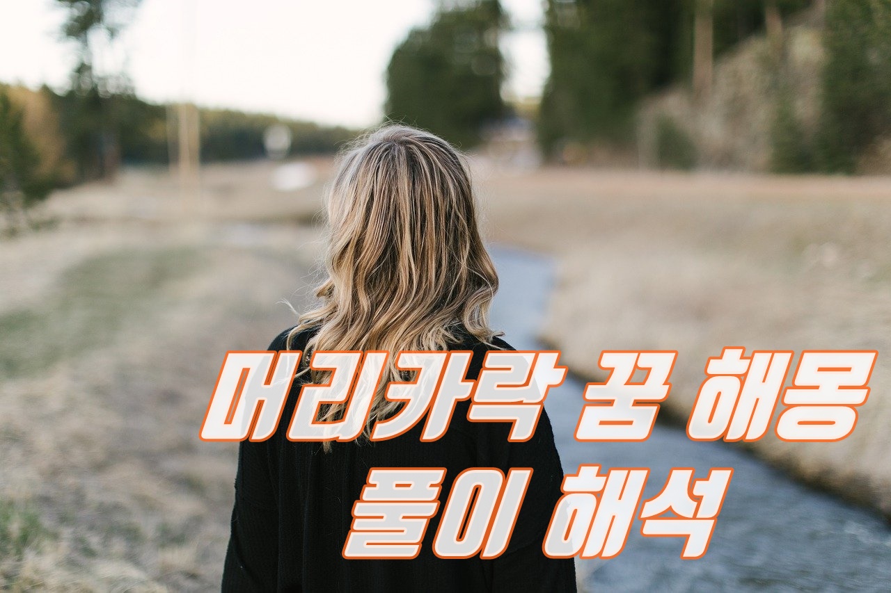  머리카락 꿈 해몽 풀이 해석 (바닥, 빠지는, 나오는 등등)