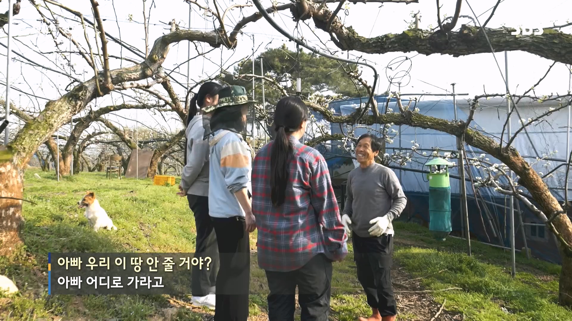 일요 특선 다큐멘터리.E348.240804p.H264-F1RST.mp4_20240805_201501.521.jpg