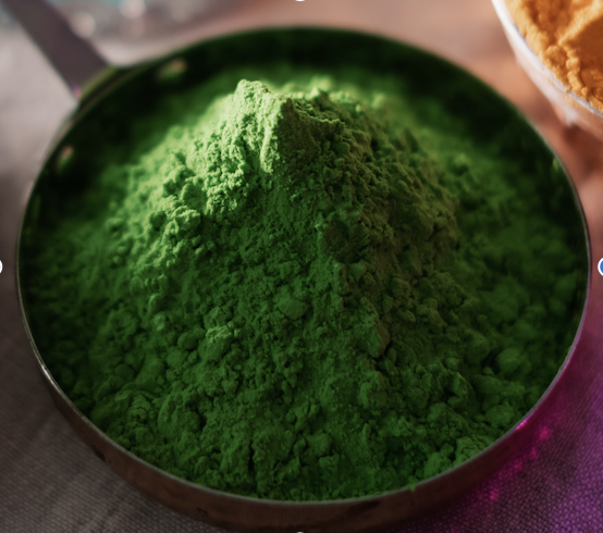 클로렐라 Chlorella