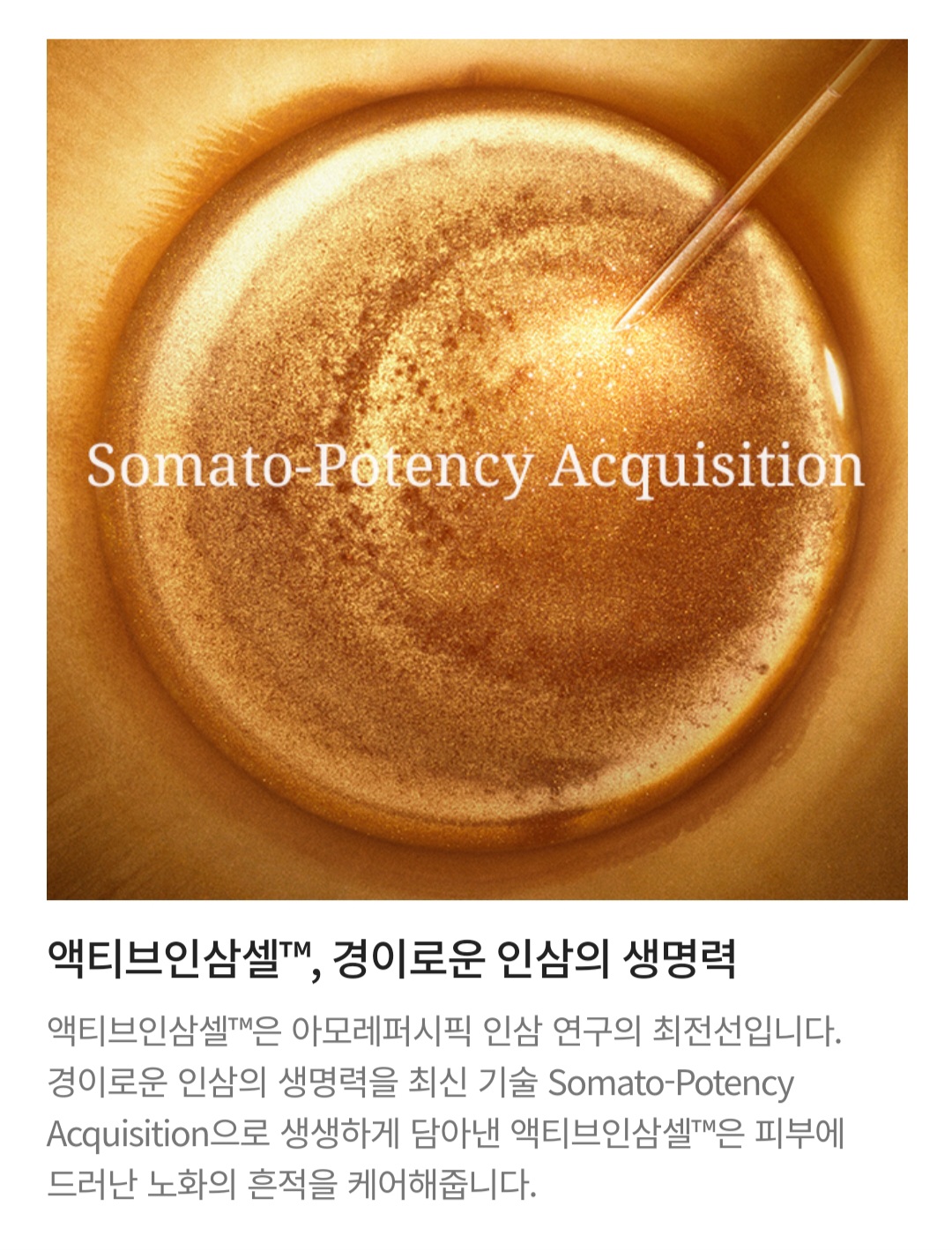 영지기획 이미지