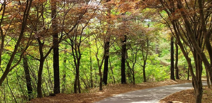 부여 가림성, 백제의 숨은 보물을 만날 수 있는 추천여행지