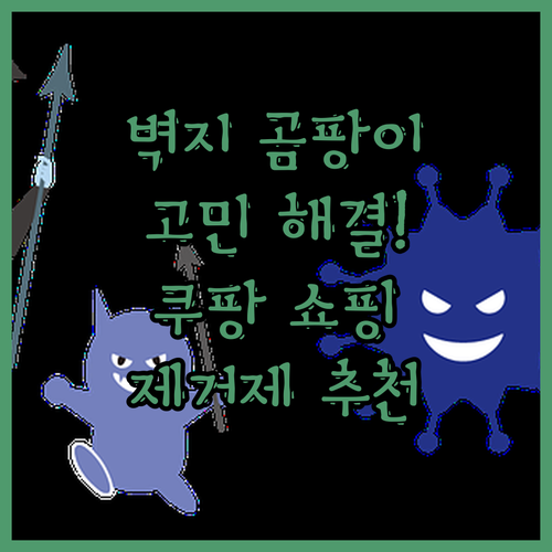 벽지 곰팡이 고민 끝! 에코후레쉬, 