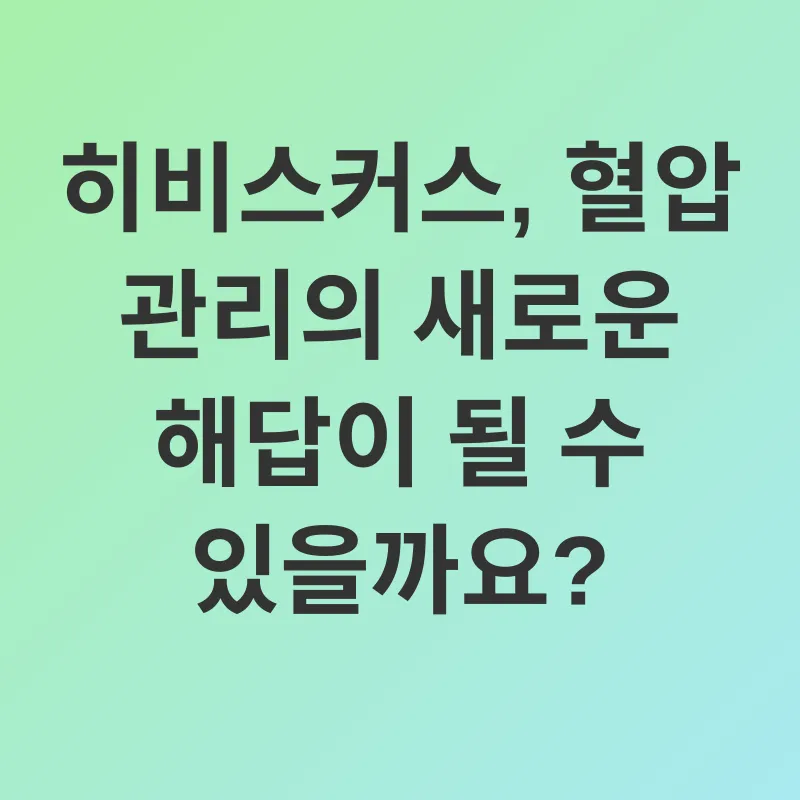 히비스커스차 효능_1
