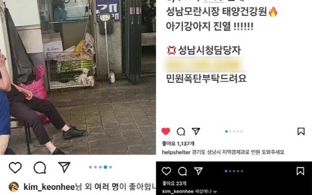  김건희 여사 개고기 분노 표출, 성남 모란시장 건강원 강아지 사체 토막 전시 반대