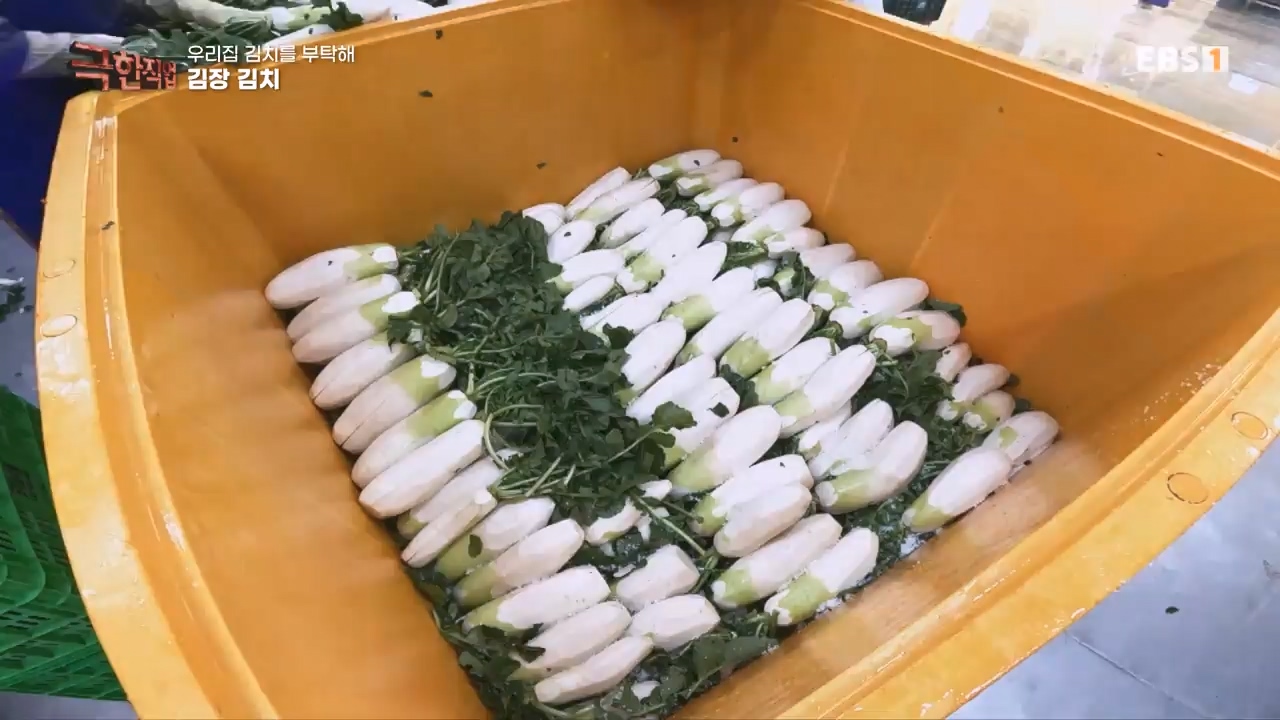 TV - 전 국민의 평생학교 EBS우리 집 김치를 부탁해.mp4_20231228_201810.320.jpg