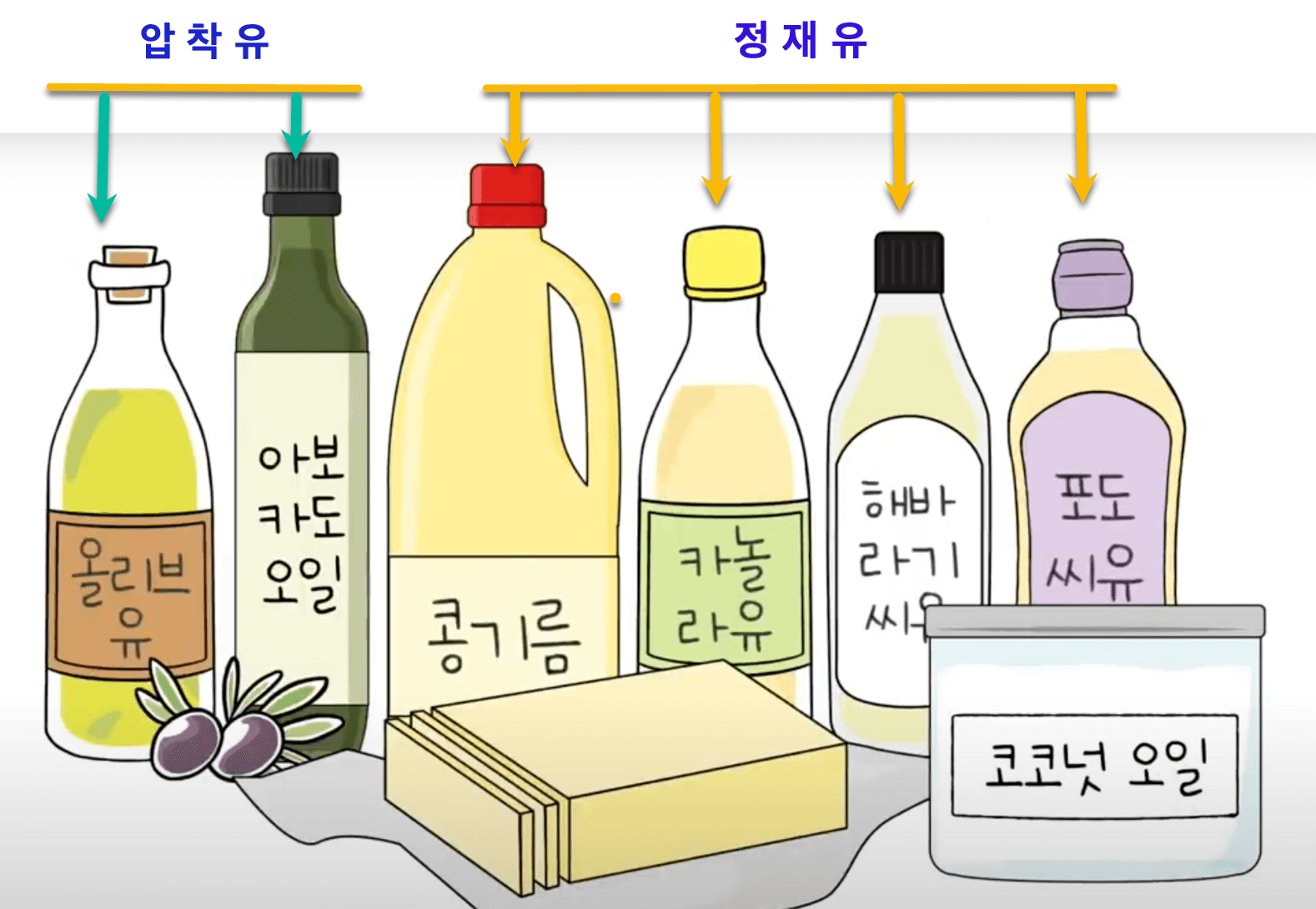 그림으로-압착유인-올리브유-아보카도-및-정제유인-콩기름 -카놀라유-해바라기씨유-포도씨유를 -보여주는-사진