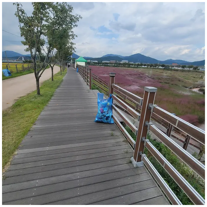 핑크뮬리 서식지 주변에 쓰레기 봉투를 비치한 사진입니다.