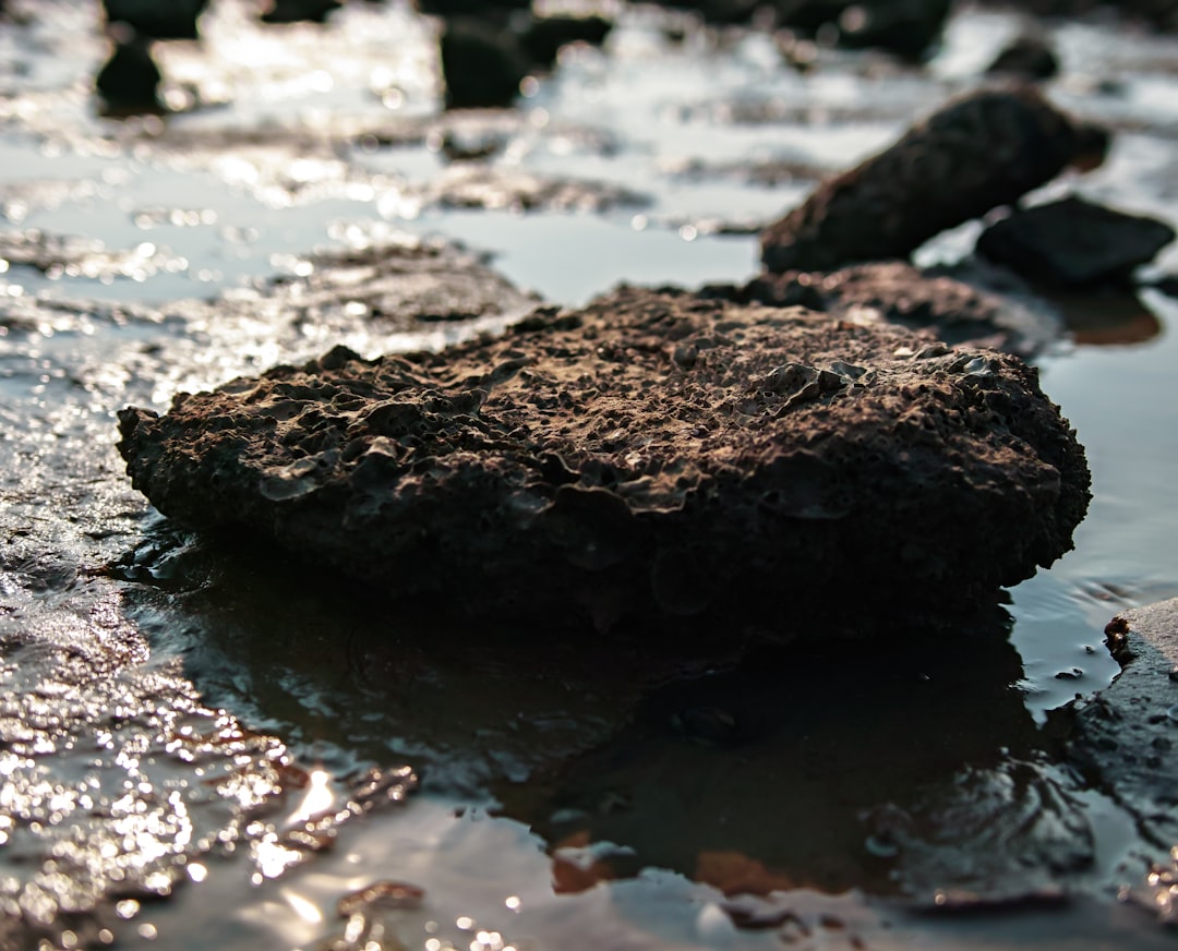 Mudflat