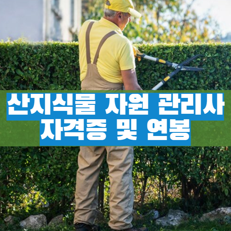  자기계발 자기개발 산지식물자원관리사 자격증 및 연봉