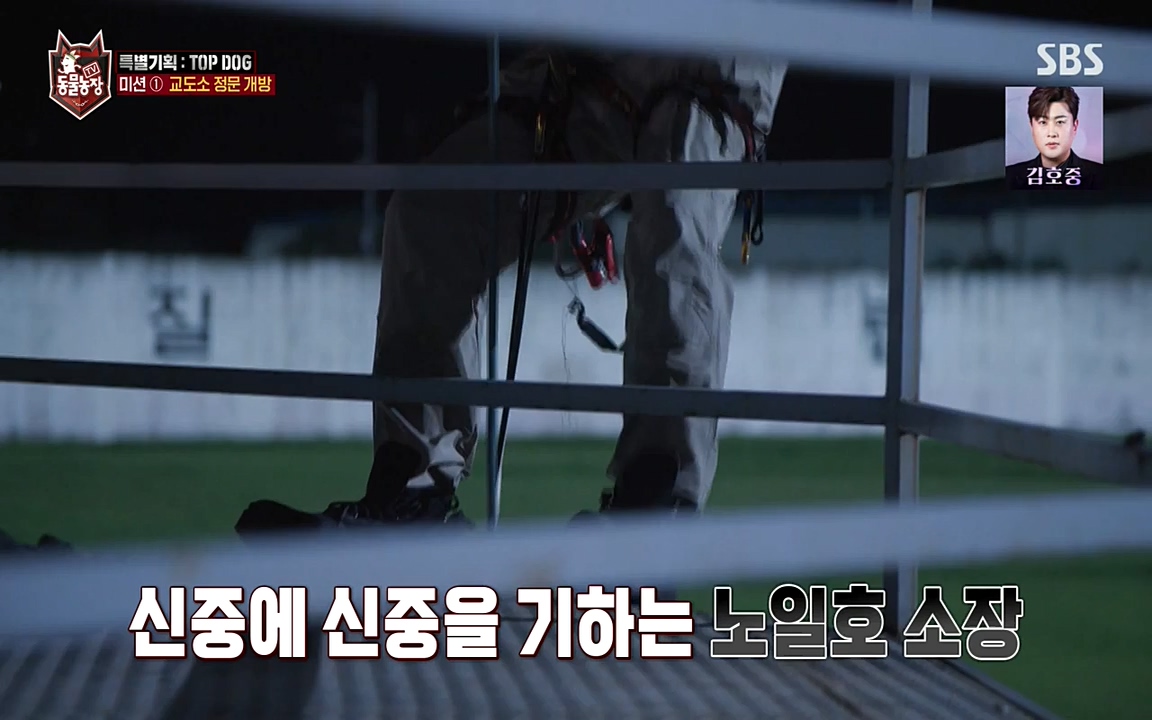 TV 동물농장.E1085.220905p-NEXT.mp4_20220904_173604.368.jpg